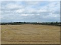 H9802 : Harvested grain field south-west of Knockdillon Cross roads by Eric Jones