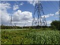 Pylons on the edge of Rainham Marshes