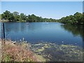 The Lake in Valentines Park