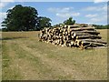 A wood pile