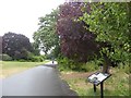 Path and wildlife area, Valentines Park, Ilford