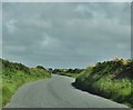 Lane Near Trenewydd Fawr