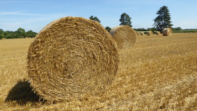 Round straw bales