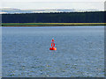 NO4729 : Larick Scalp Lateral Marker Buoy, Tay Estuary by David Dixon