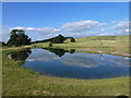 New lake on The Belvoir Estate