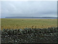 Crop field, Castletown