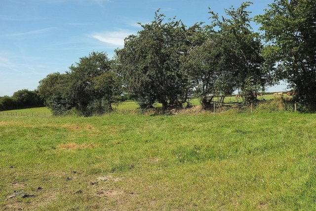 Field boundary, Broadridge Farm © Derek Harper :: Geograph Britain and ...