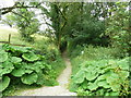 Back Lane at Hesley Lane, Rathmell