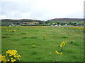 Grazing, Greenhill