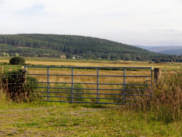 A 7-bar steel field gate