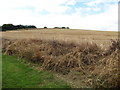 H9600 : Harvested grain field at Ardpatrick by Eric Jones