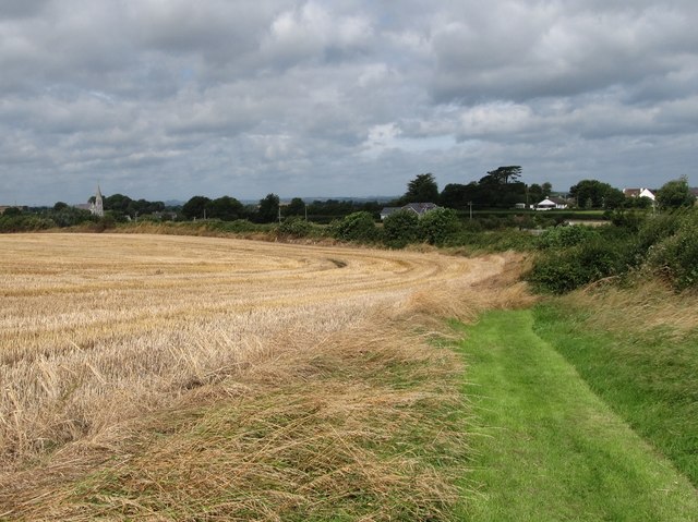 Harvested grain field next to the Ardpatrick green lane