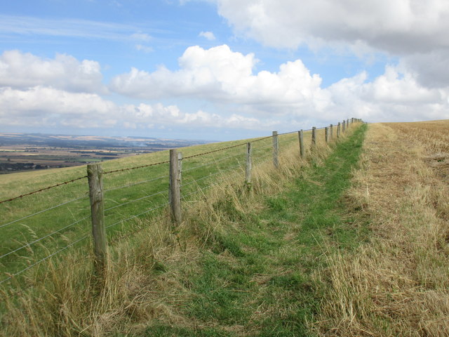 The Yorkshire Wolds way on West Heslerton Brow