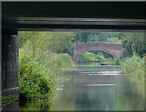 SJ9422 : Baswich Bridge No 100 by Mat Fascione