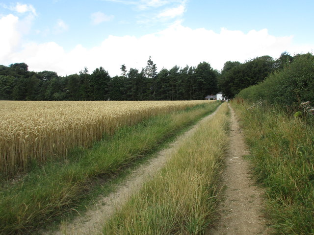 Byway to Manor Wold Farm