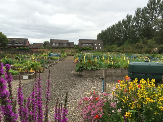 Bothwell Community Garden