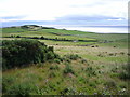 Coastal fields, Lothmore