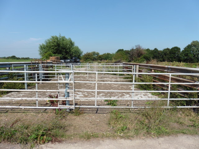 Livestock pens on former railway trackbed