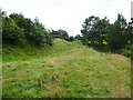 Old Oswestry: the lower ditch south of the entrance path