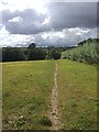 Castle Donington trackway