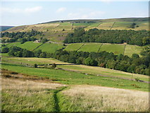SE0228 : Looking across Luddenden Dean from Wadsworth Footpath 67 by Humphrey Bolton