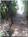 Path near Ladies Mile, Dawlish