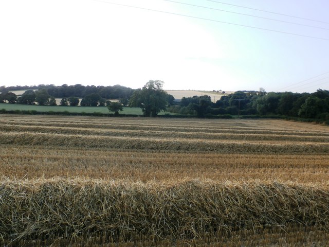 Harvested Crop Field near Hooton Roberts