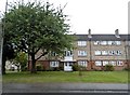 Flats in The Nursery, Devizes