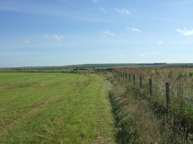 Field and fence line