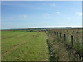 Field and fence line