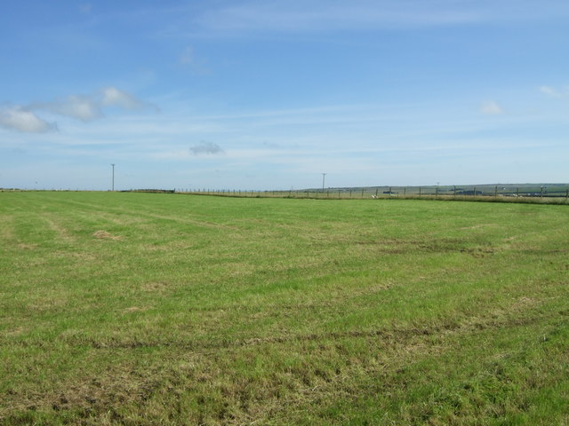 Silage field north of Halkirk