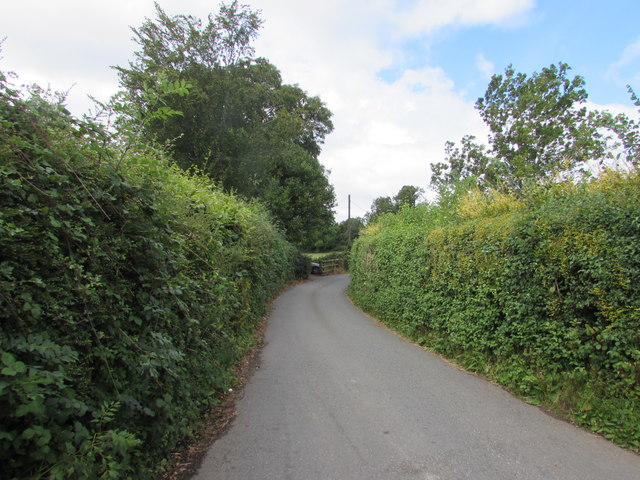 Hedged-lined Manson Lane, Monmouth
