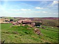 View from Ramshaw Rocks