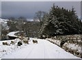 NX3296 : Winter road at Sally Pollock's Bridge by Alan Reid