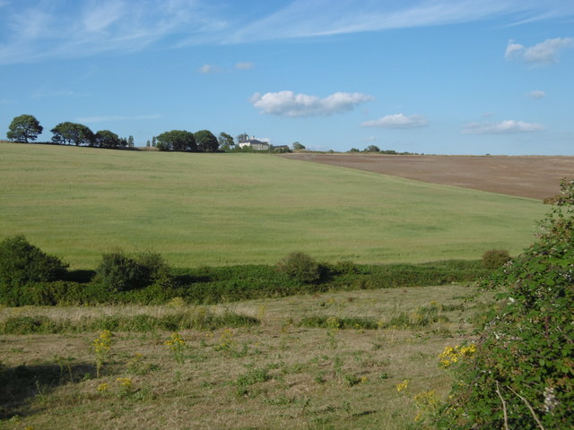 Park Farm from Hadleigh Castle © Marathon :: Geograph Britain and Ireland