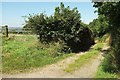 Farm track, Swincombe