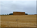 Straw bales, Salisbury Plain