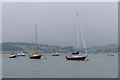 SX9980 : Moored boats, River Exe by Alan Hunt