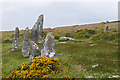SX6587 : The Scorhill Stone Circle by Alan Hunt