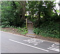 Steps up from Penyturnpike Road, Dinas Powys