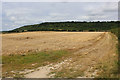 Field to the West of Birling Place Farm