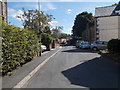 Hall Lane - viewed from Slant Gate