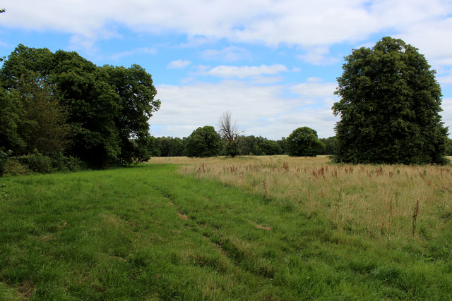 Field beside Holly Hill House