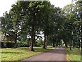 Tree-lined avenue to Beeston Fields Golf Club