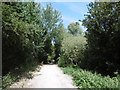 Path alongside the River Roding