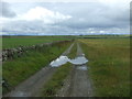 ND0565 : Farm track, Lythmore Strath by JThomas
