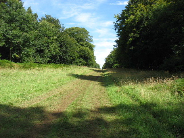 Overley Ride, Oakley Wood © David Purchase cc-by-sa/ :: Geograph Britain  and Ireland