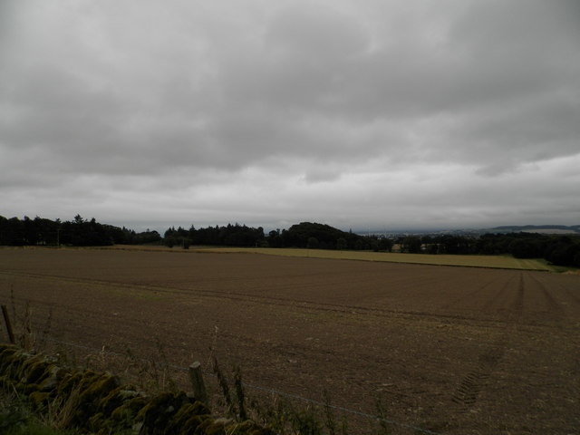 Field at Craighill Farm