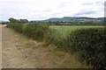 Fields off Black Horse Lane