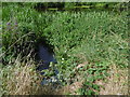 Channel leading into the River Roding near Roding Lane South